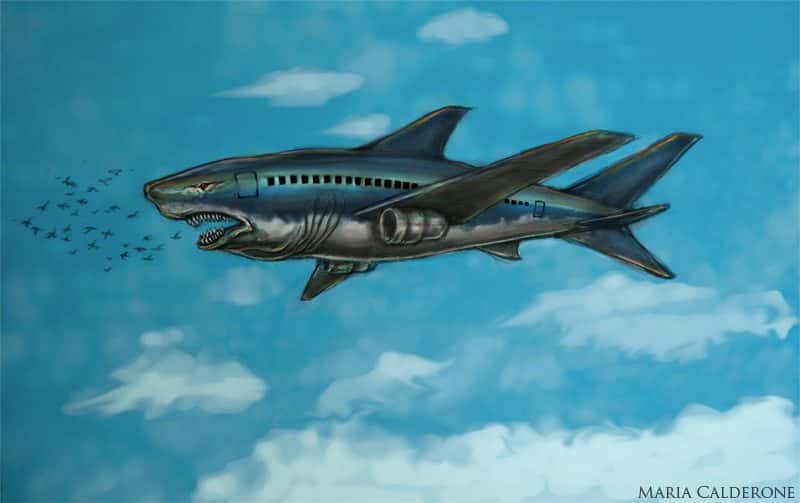 30 Finteresting Facts About Sharks