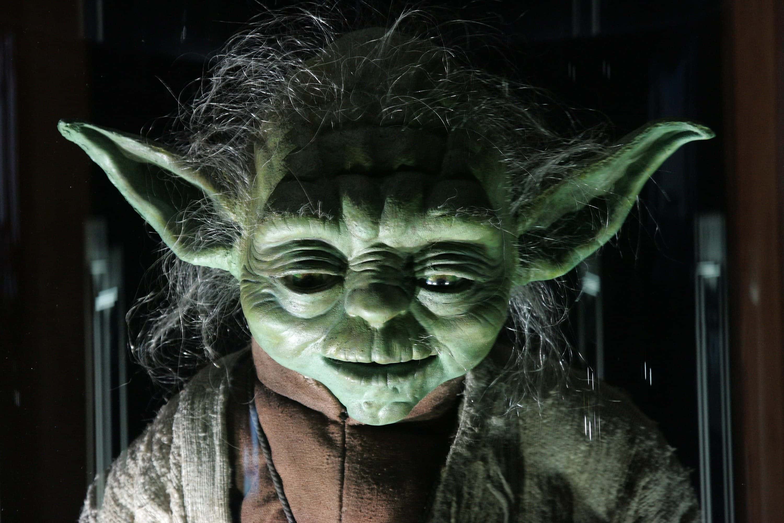 46 Interesting Facts About Yoda These Are