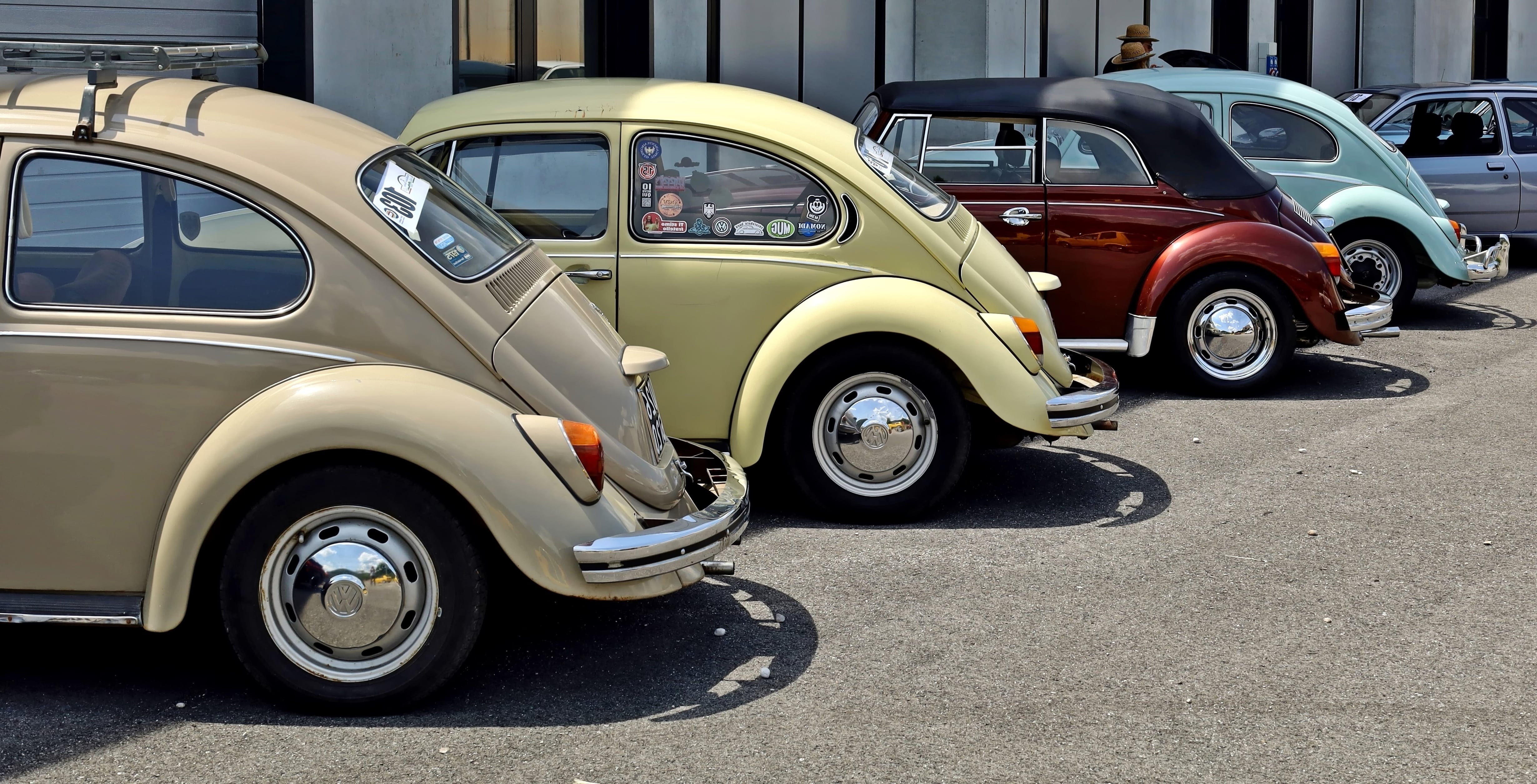 Volkswagen Beetles