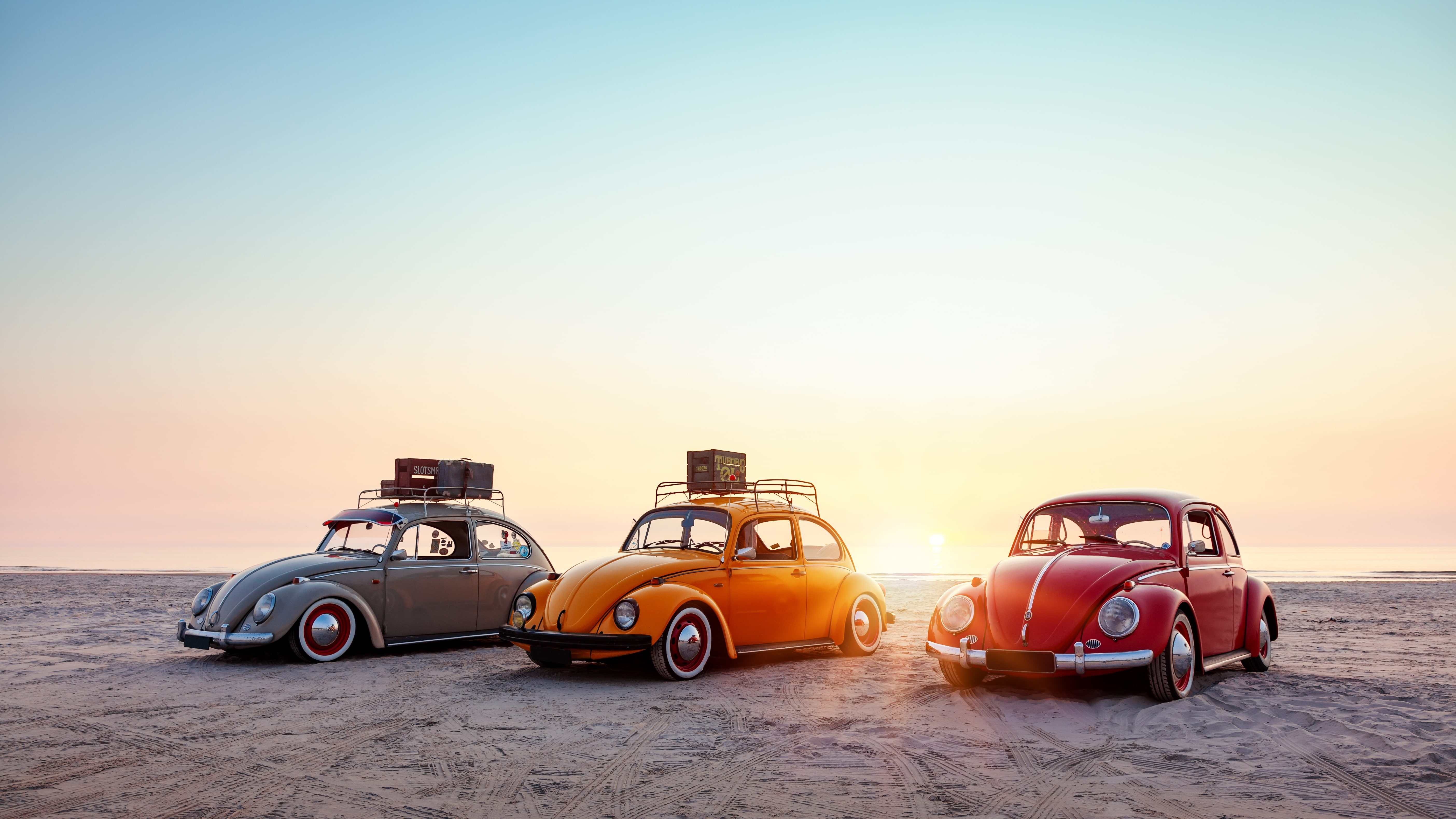 Volkswagen Beetles