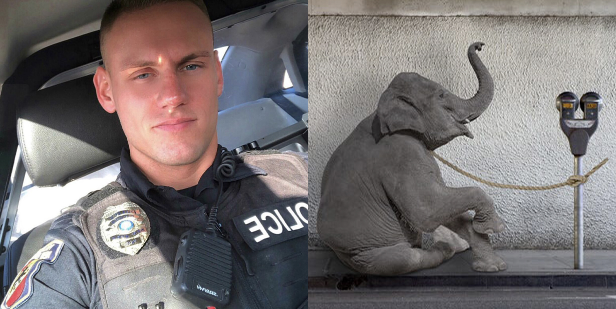 Strange Driving Laws Split Gallery 2