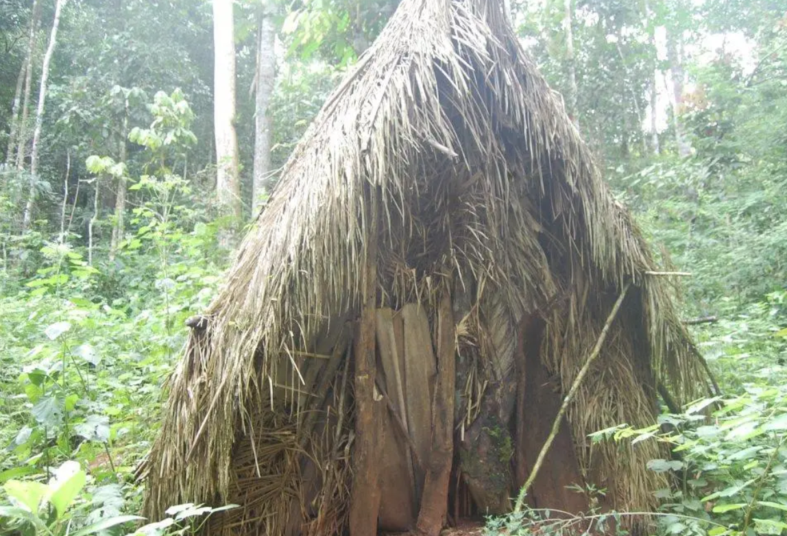 Brazilian Tribe