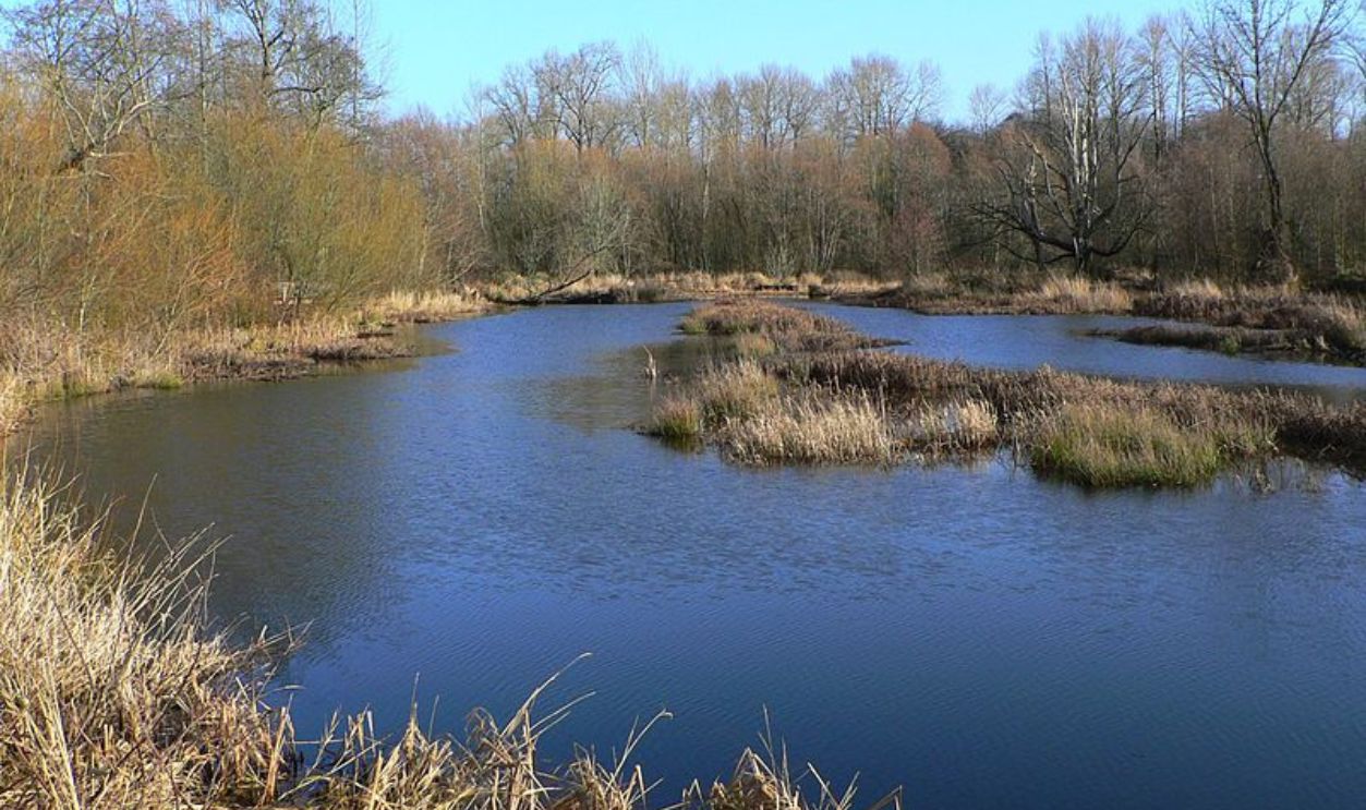 Billy Frank Jr. Nisqually