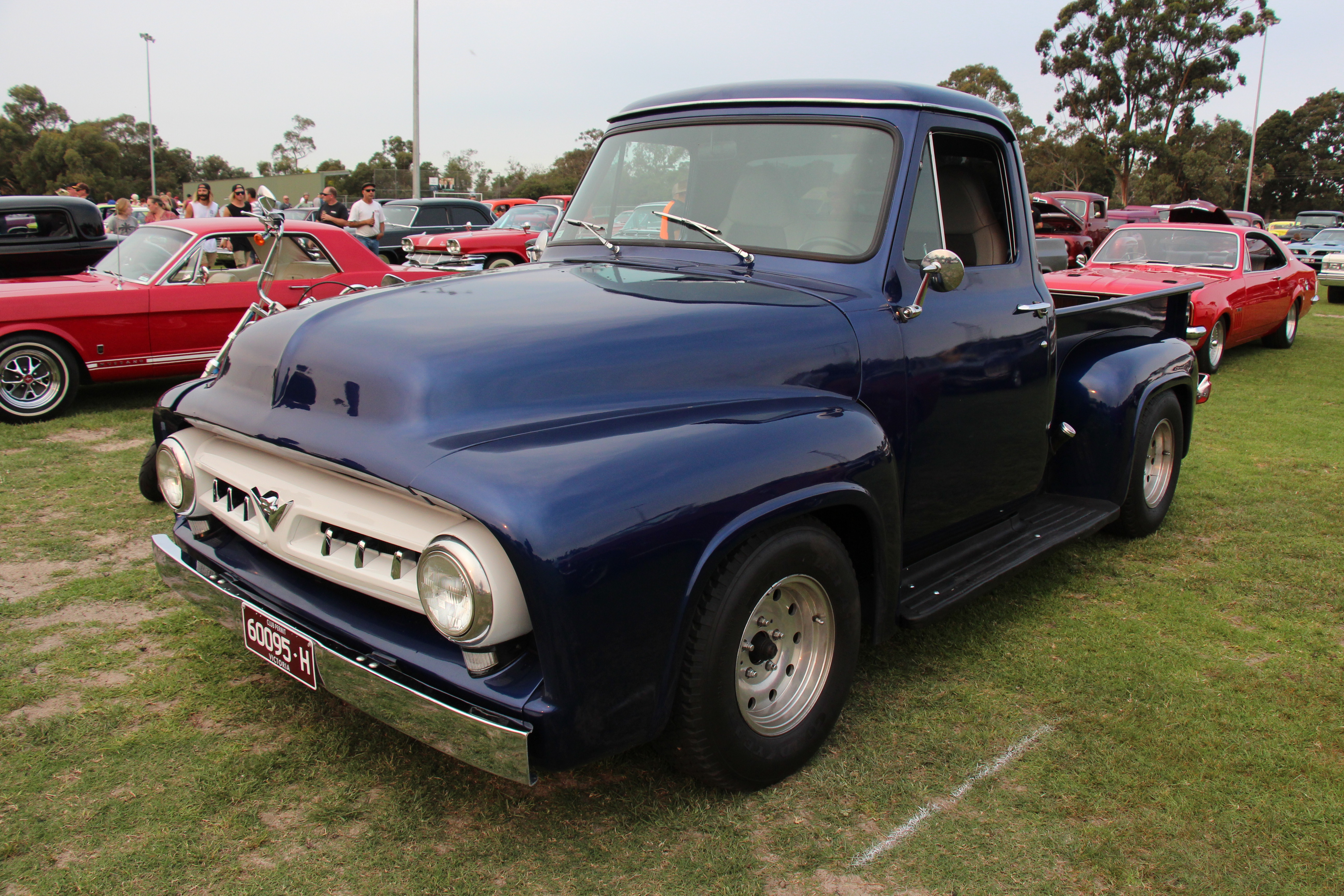 Black 1953 Ford F-100