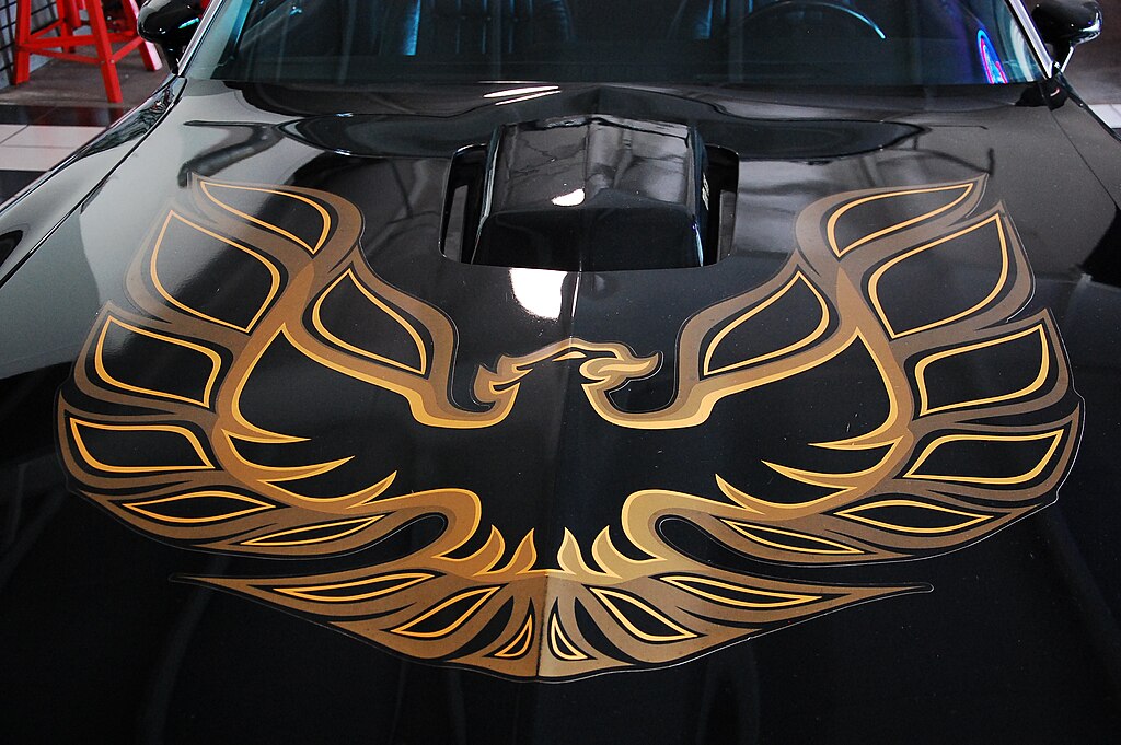 Close Up Photo of Black Trans Am hood