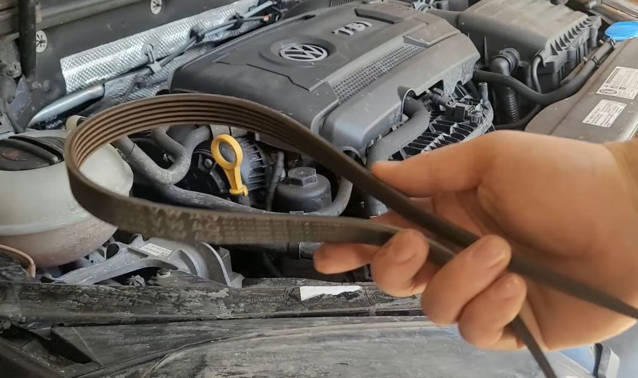 Serpentine Belt