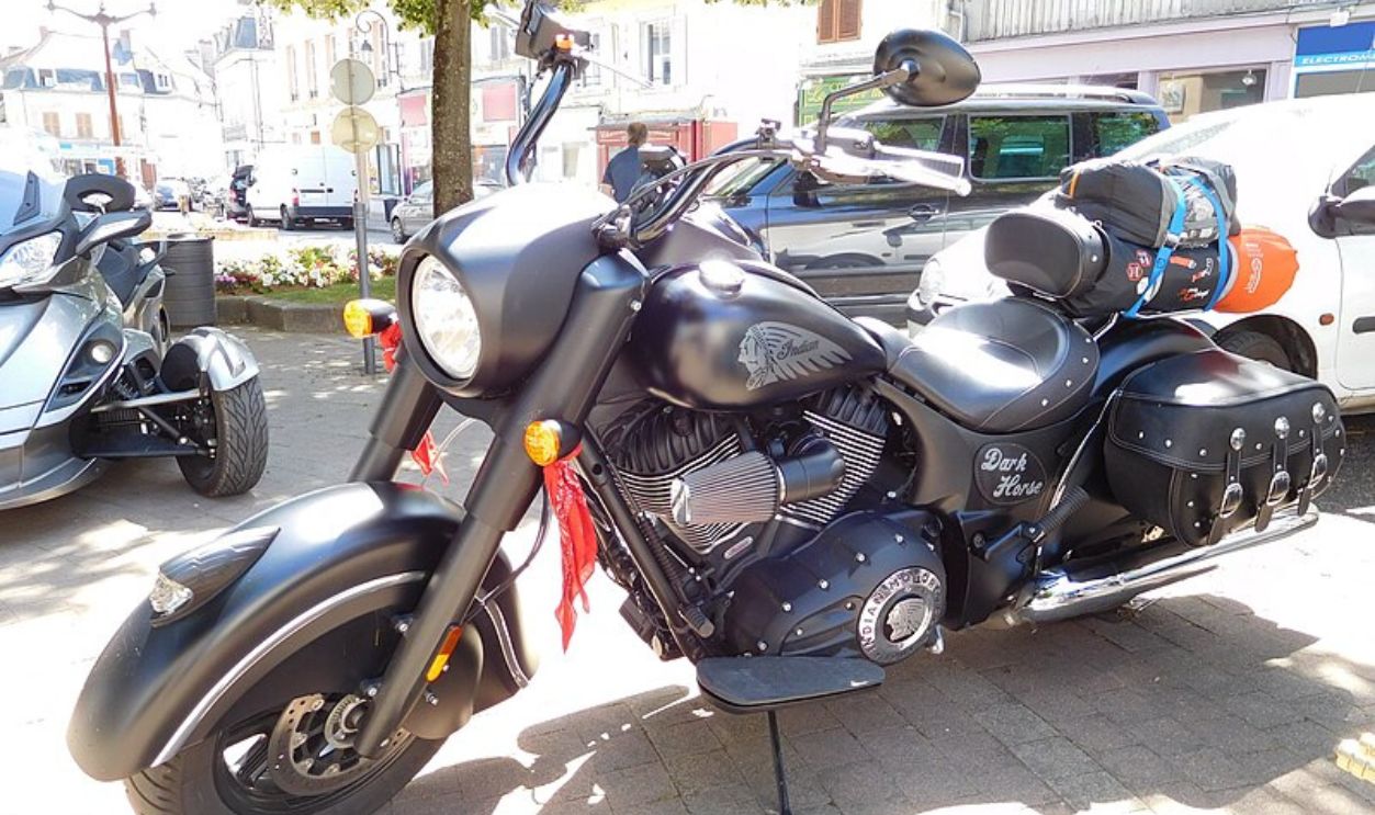 Indian Chief Dark Horse