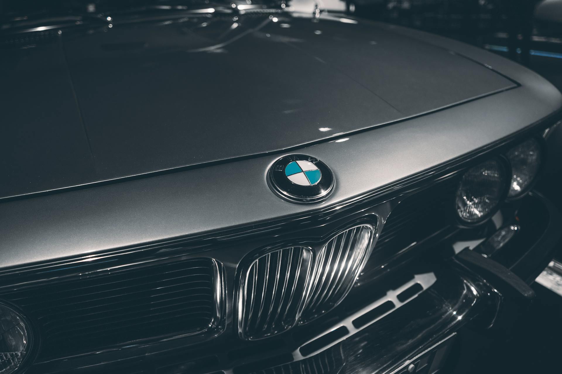 BMW front emblem