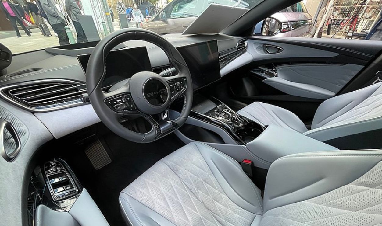 BYD Driver-Assistant