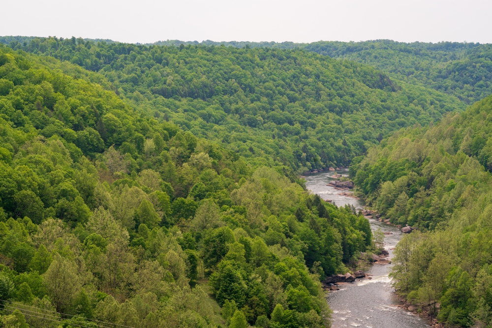 Overlook of the River at Gauley River National Recreation Area