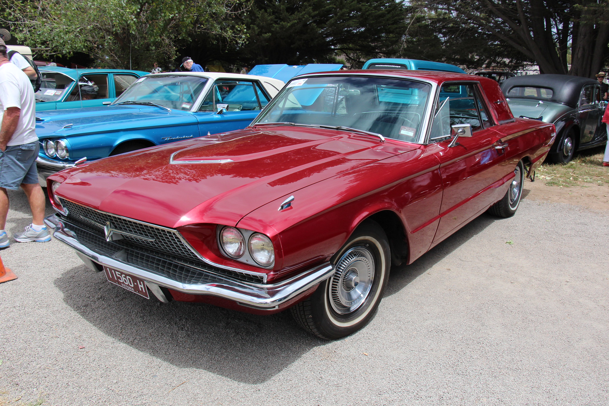 1966 Ford Thunderbird Hardtop