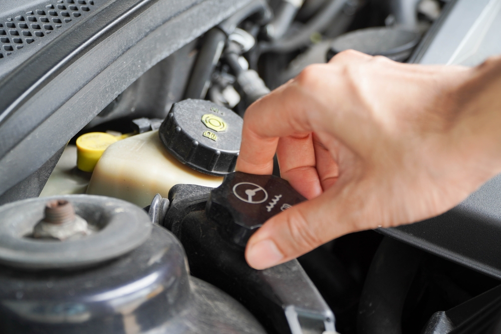 Technician inspect car power steering oil for engine compartment.
