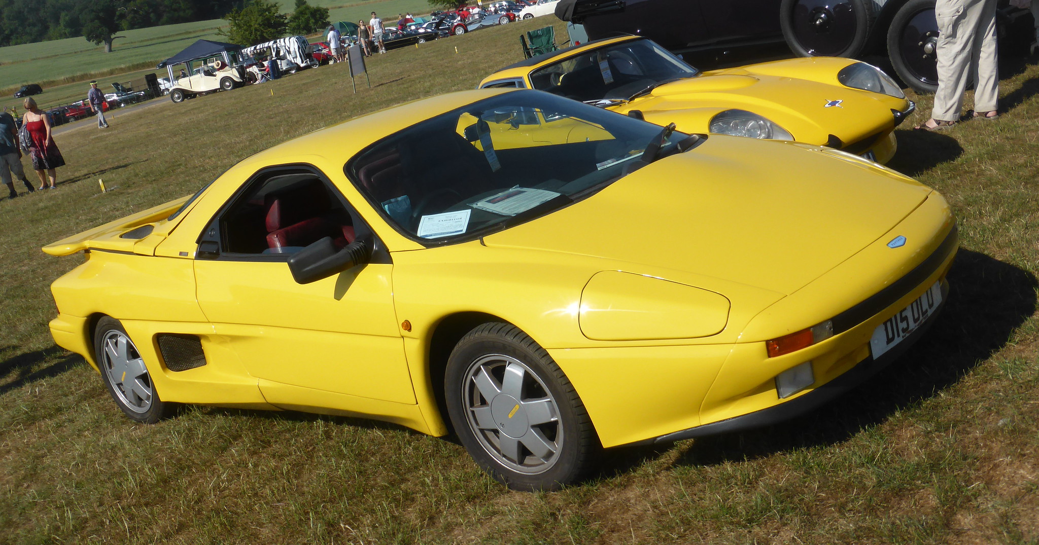 Yellow Panther Solo (1989)