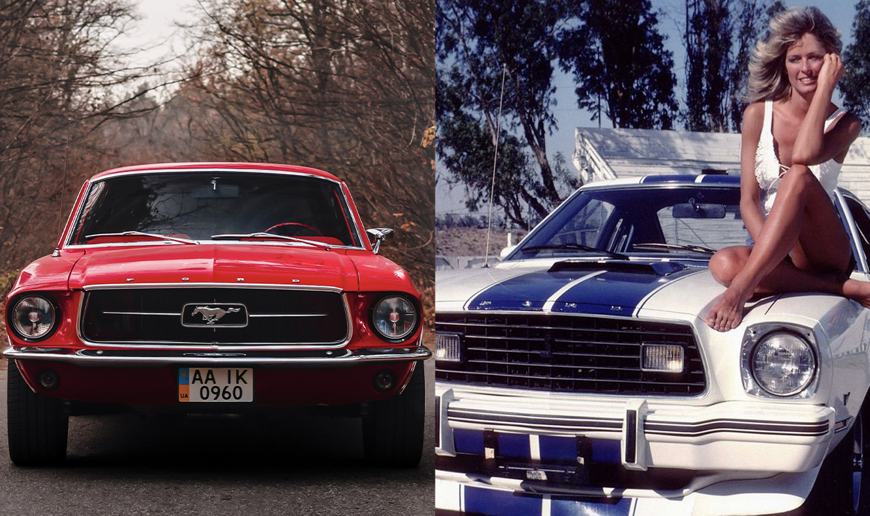 Mustangfacts-Msnsimp
