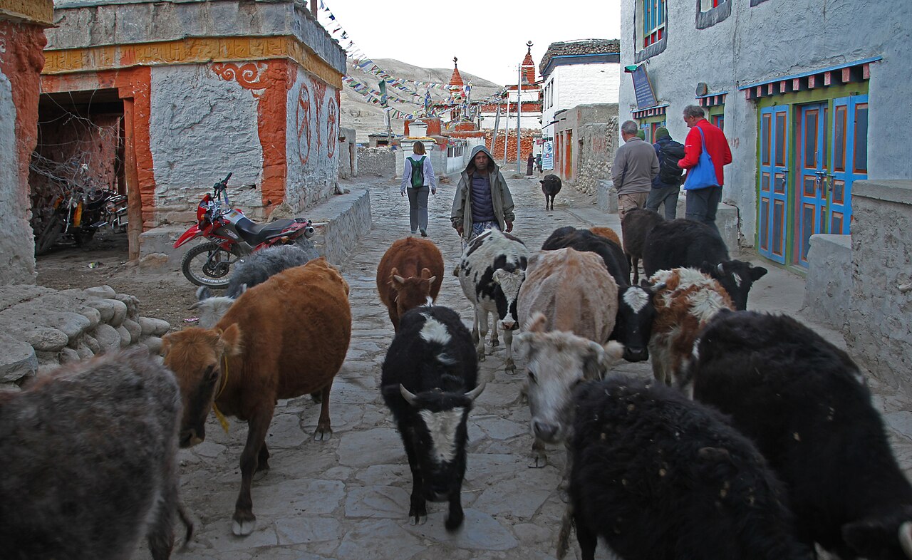 Lo Manthang, capital of Mustang