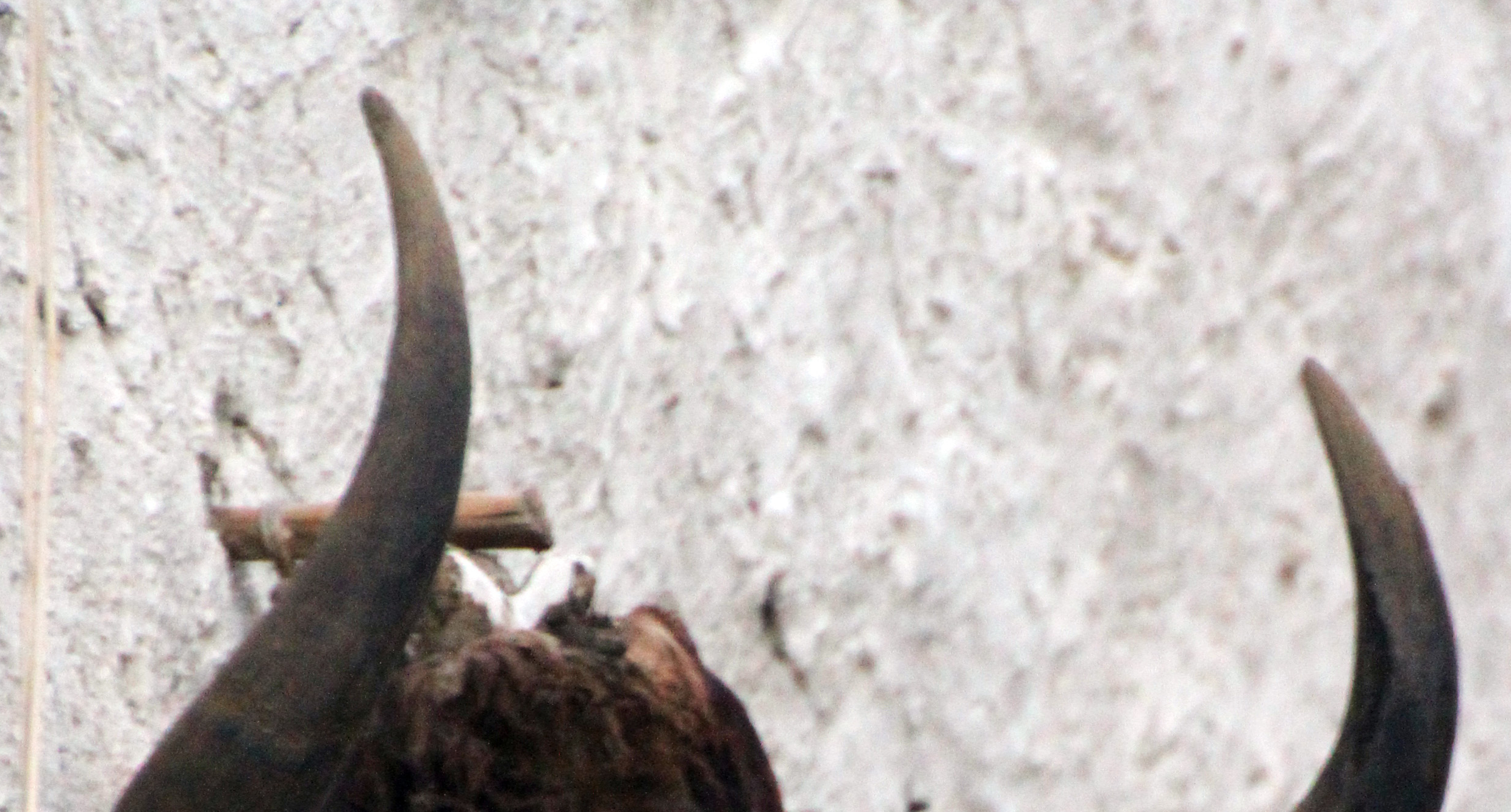 Lo Manthang, capital of Mustang