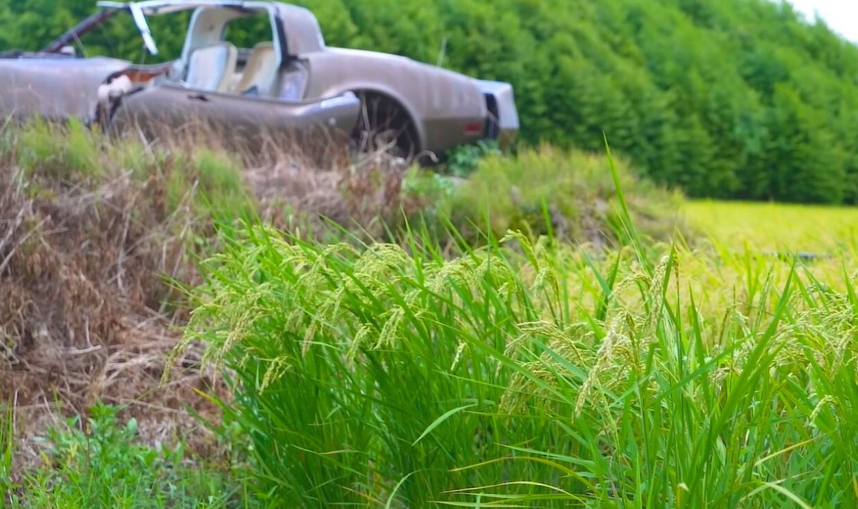 The Ricer Corvette Abandoned