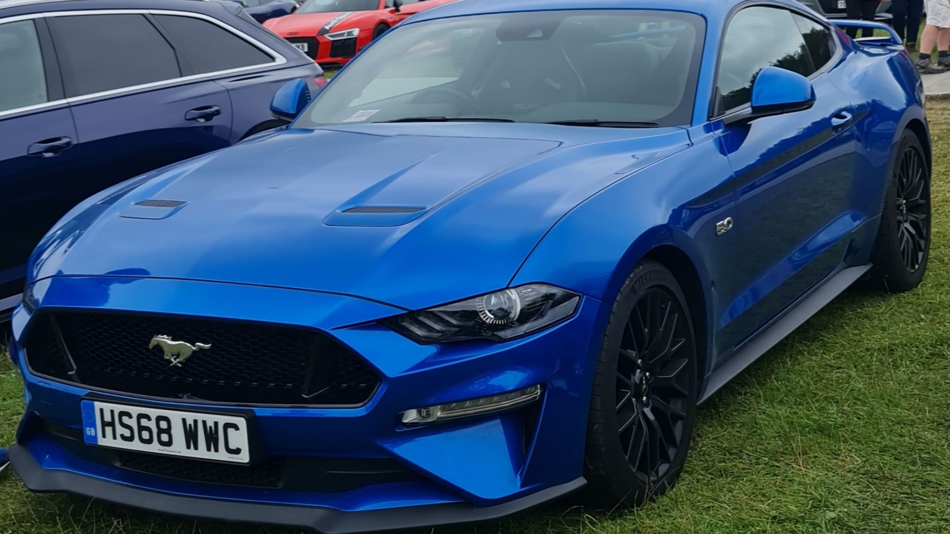 File:2019 Ford Mustang GT Blue.jpg