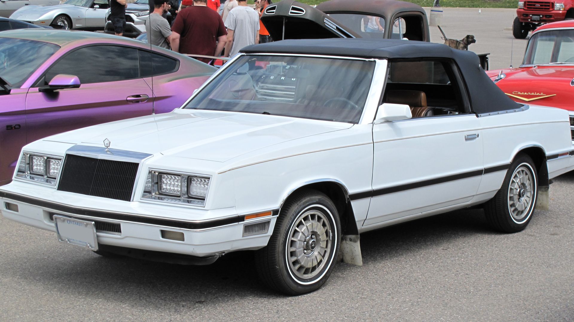 File:1982 Chrysler LeBaron Medallion in Pearl White, Front Left, 05-29-2022.jpg