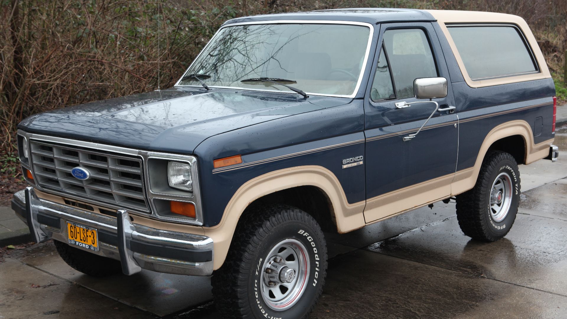 File:1986 Ford Bronco Eddie Bauer.jpg