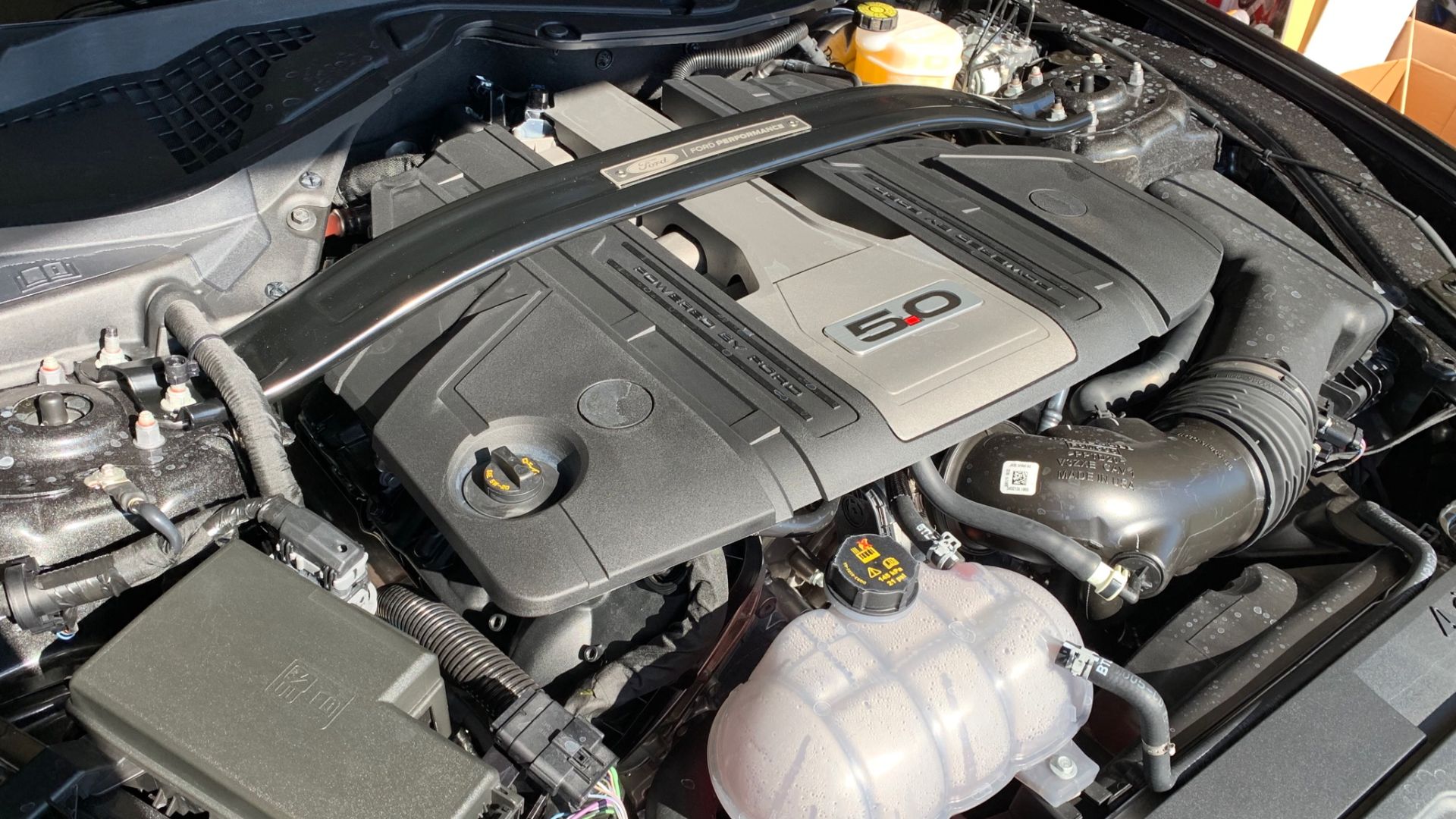 File:Coyote gen 3.jpg