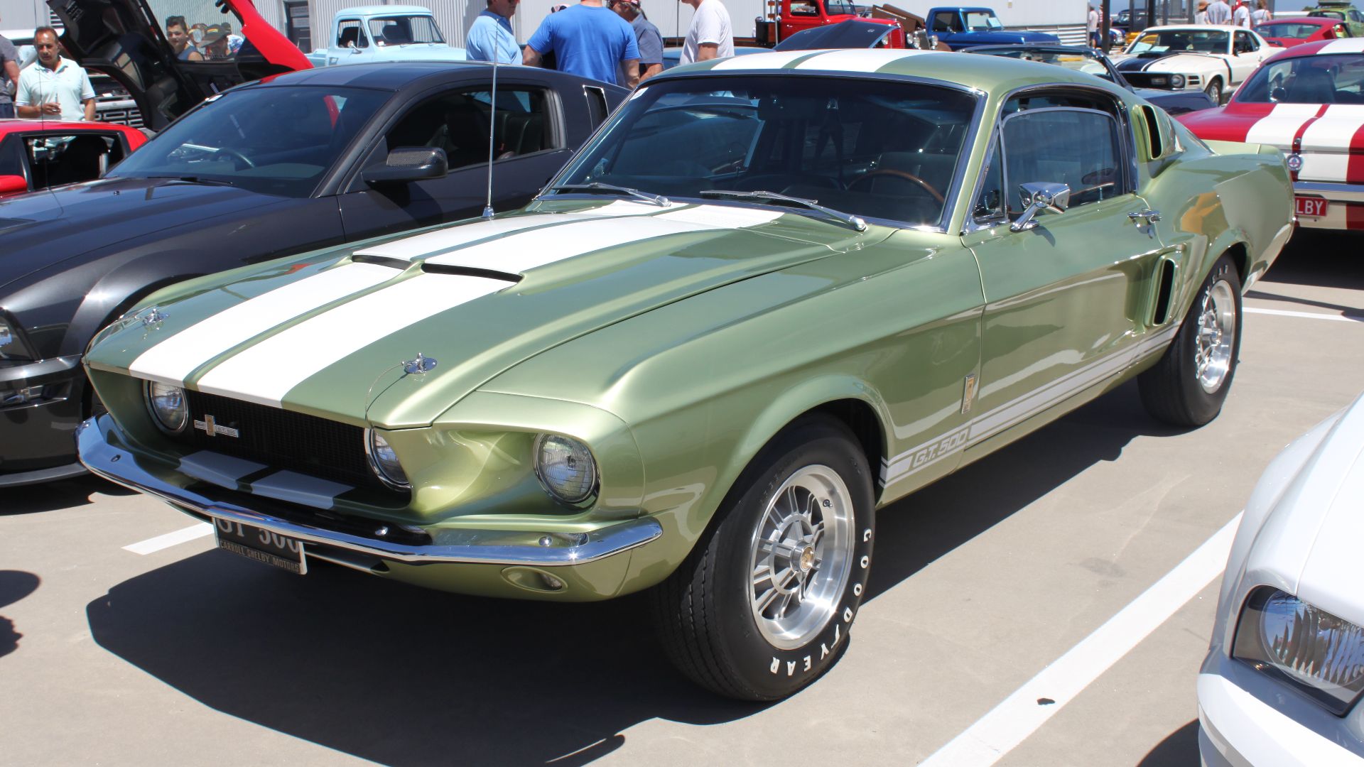File:1967 Ford Mustang Shelby GT500 (16315431572).jpg