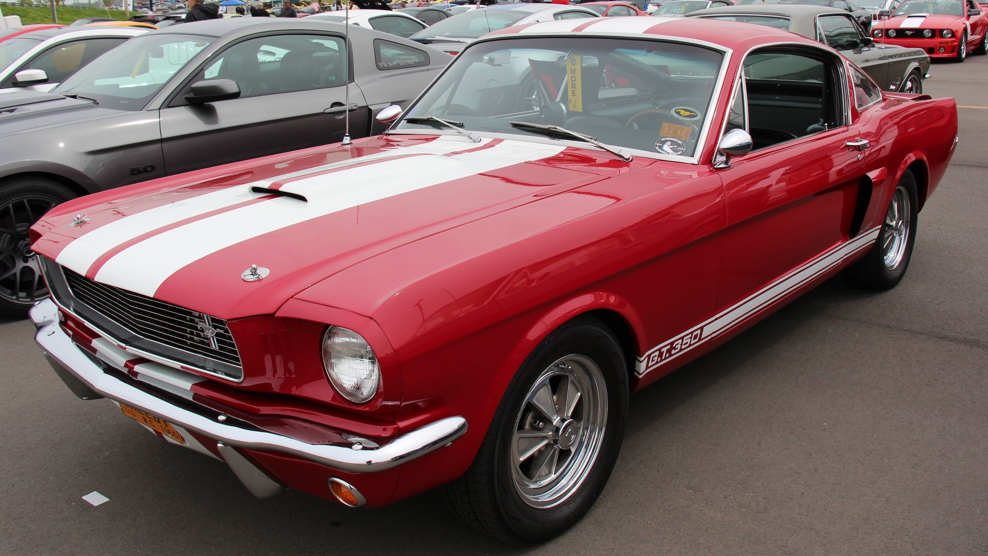File:1966 Shelby Mustang GT350 (14630737103).jpg