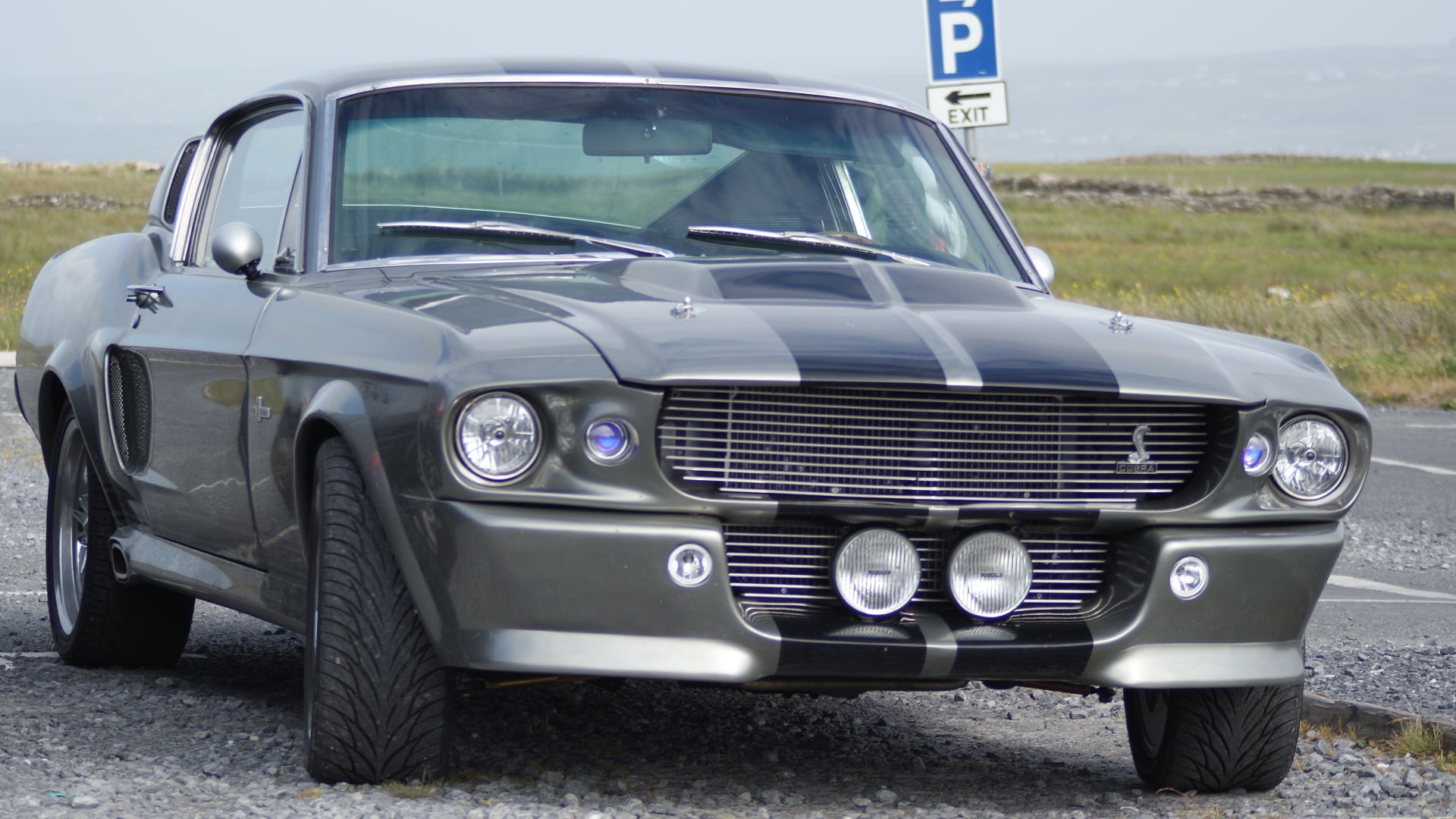 File:Shelby Mustang GT500