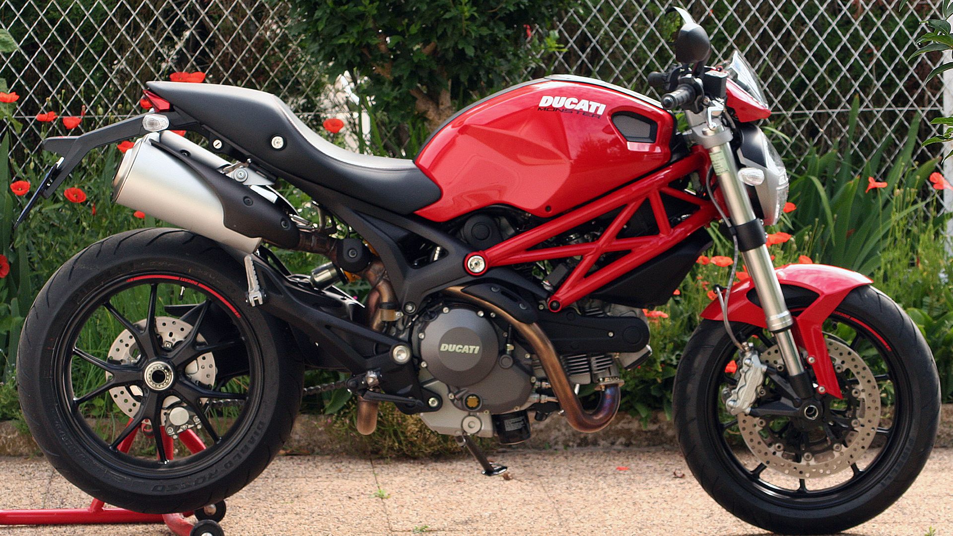 File:Monster 796.jpg