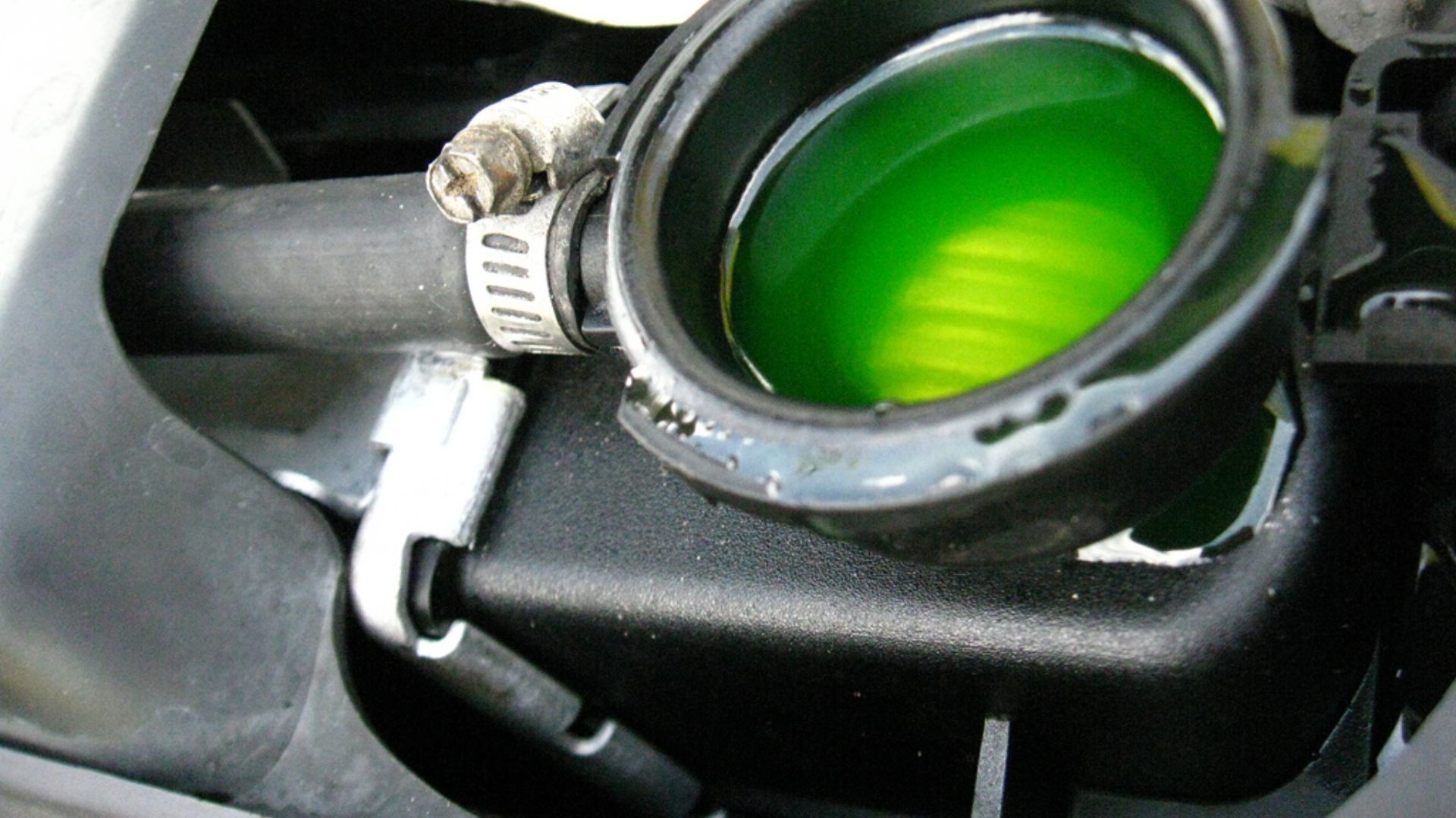 File:Antifreeze in the radiator.jpg