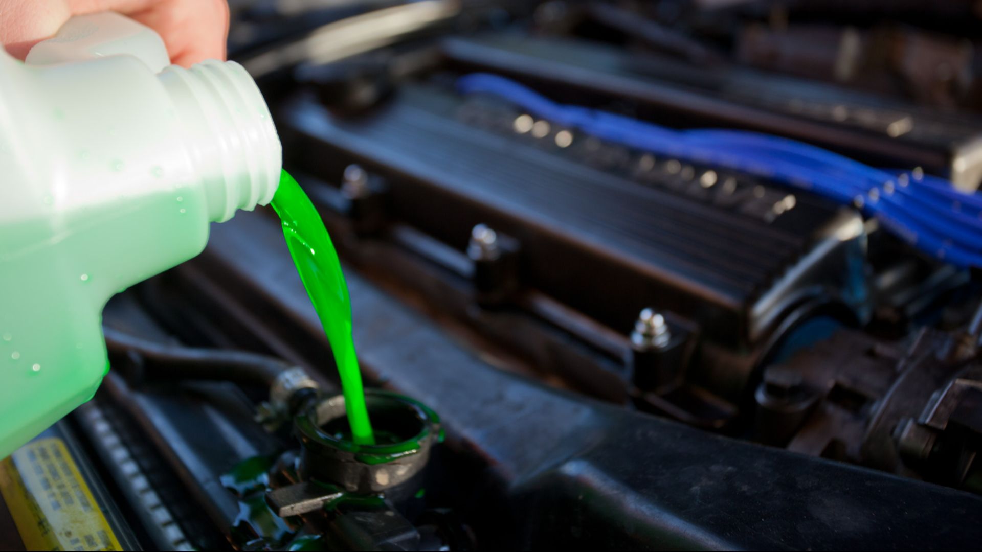 File:Engine coolant.jpg