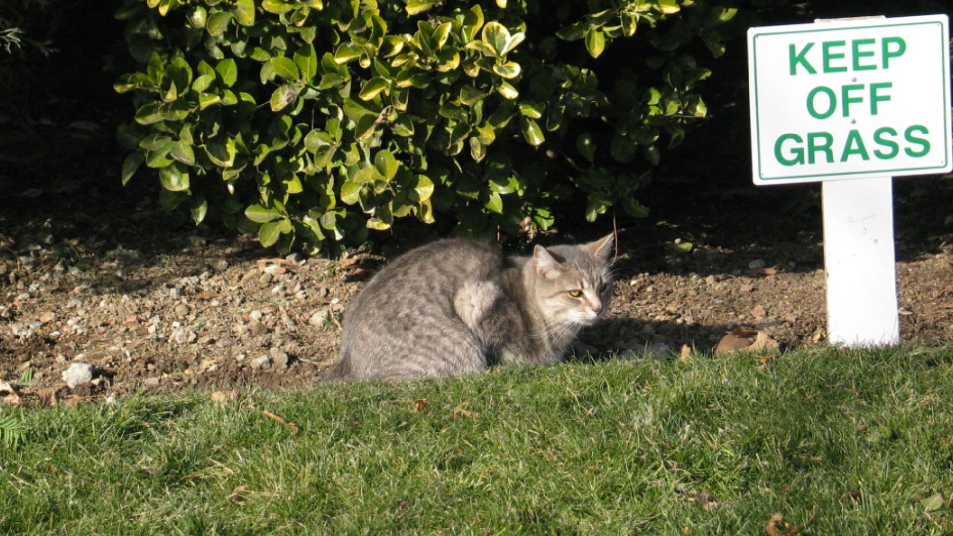 File:Keep off grass sign.jpg