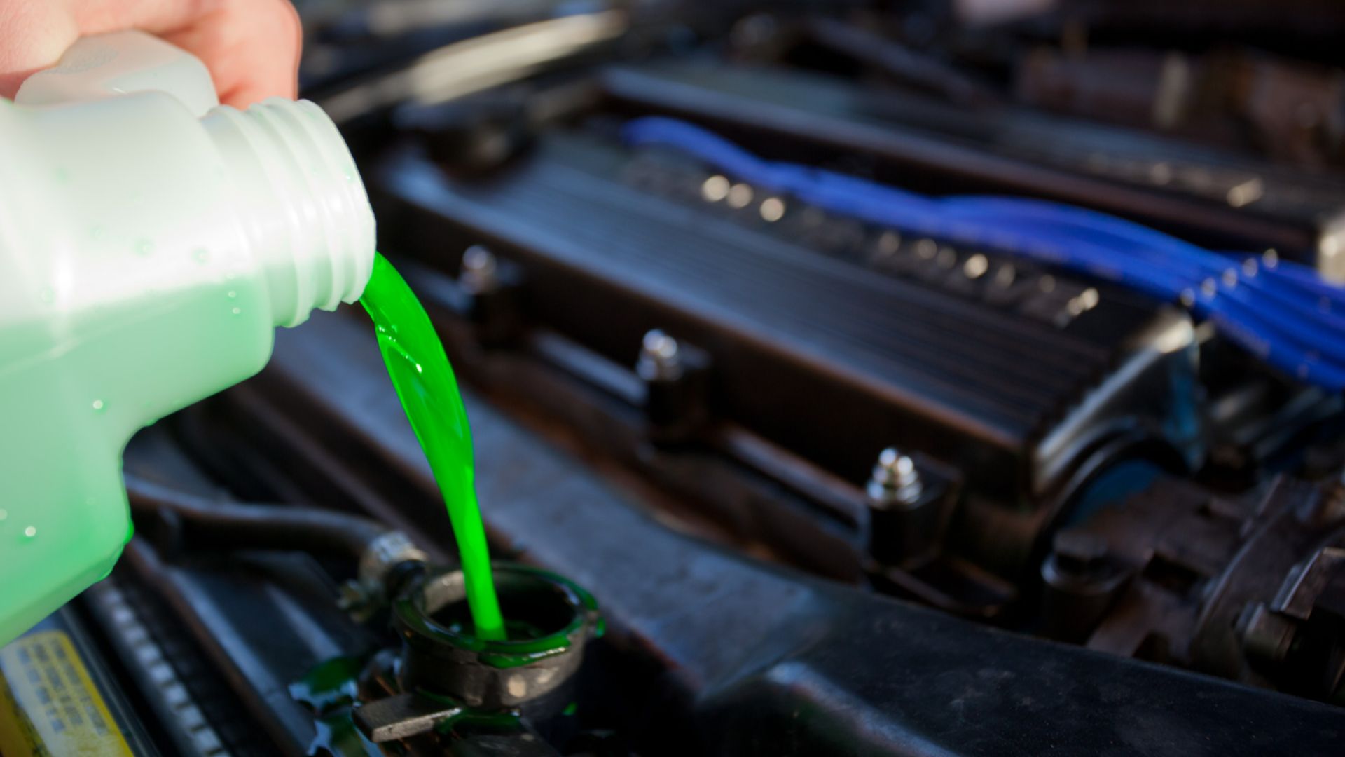 File:Engine coolant.jpg