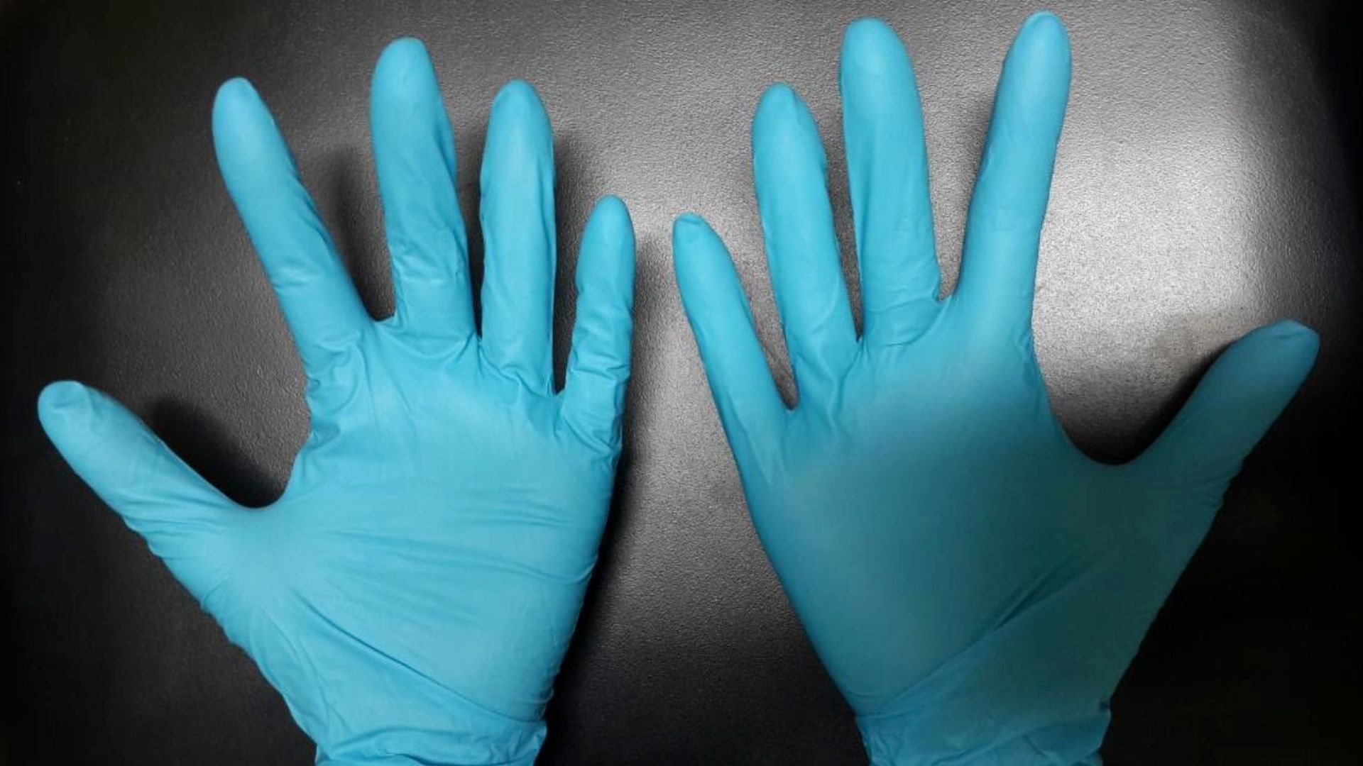 File:Protective nitrile gloves.jpg