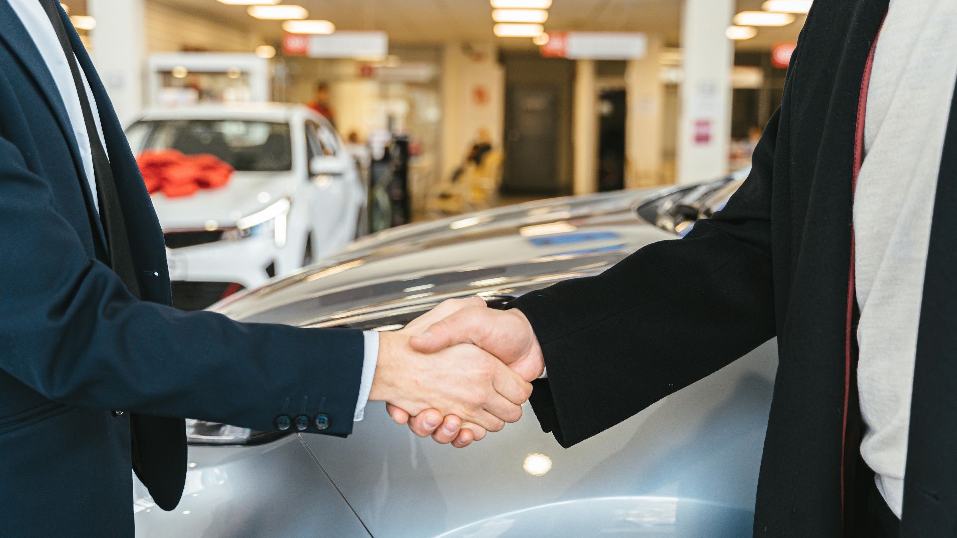 Antoni Shkraba Studio