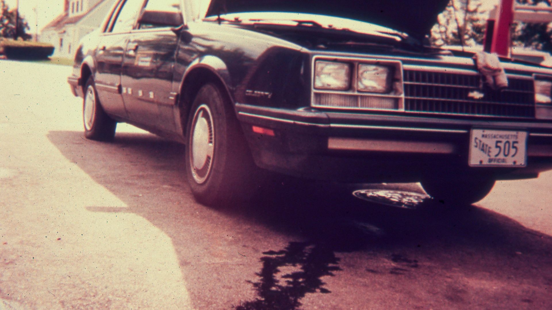 File:Carousel A (57) (49705310926).jpg