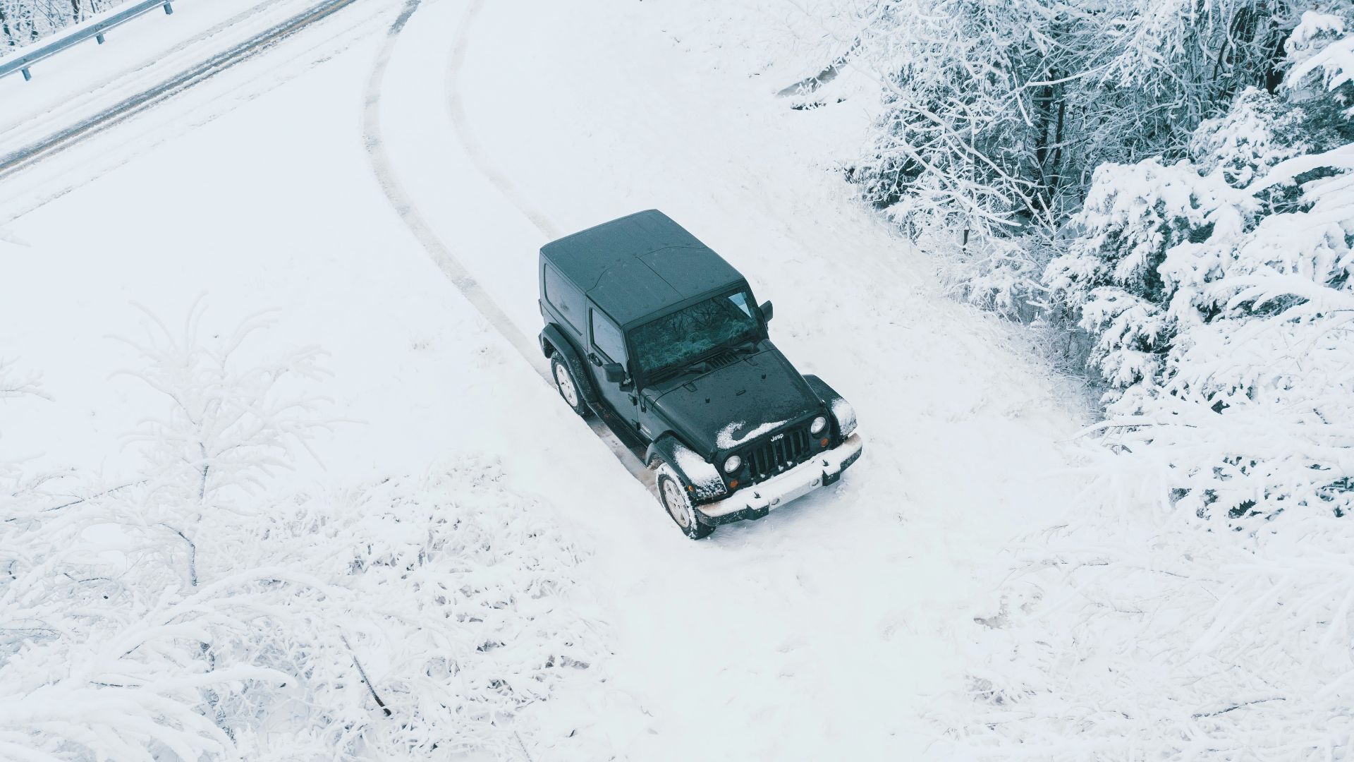 black vehicle near snow covered trees