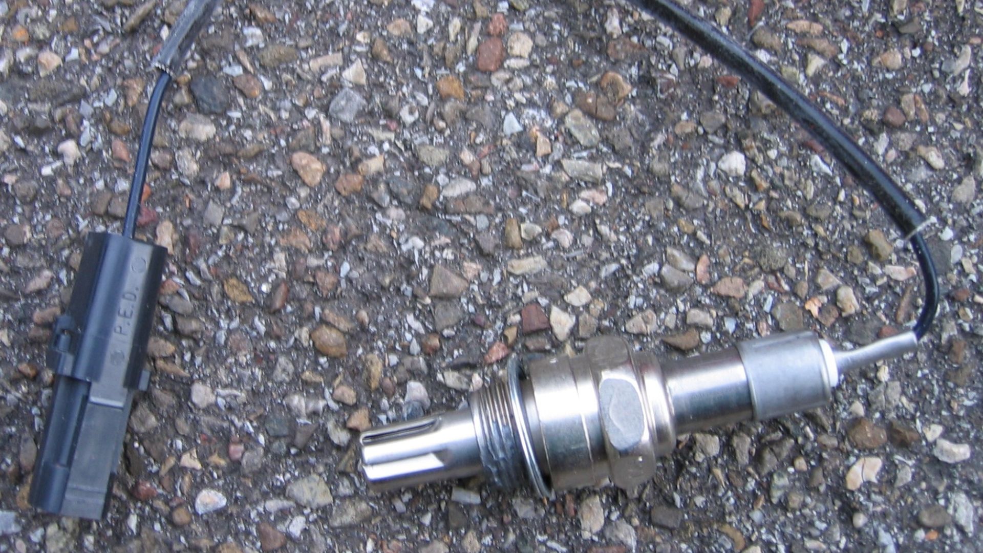 File:Oxygen sensor IMG 0488.JPG