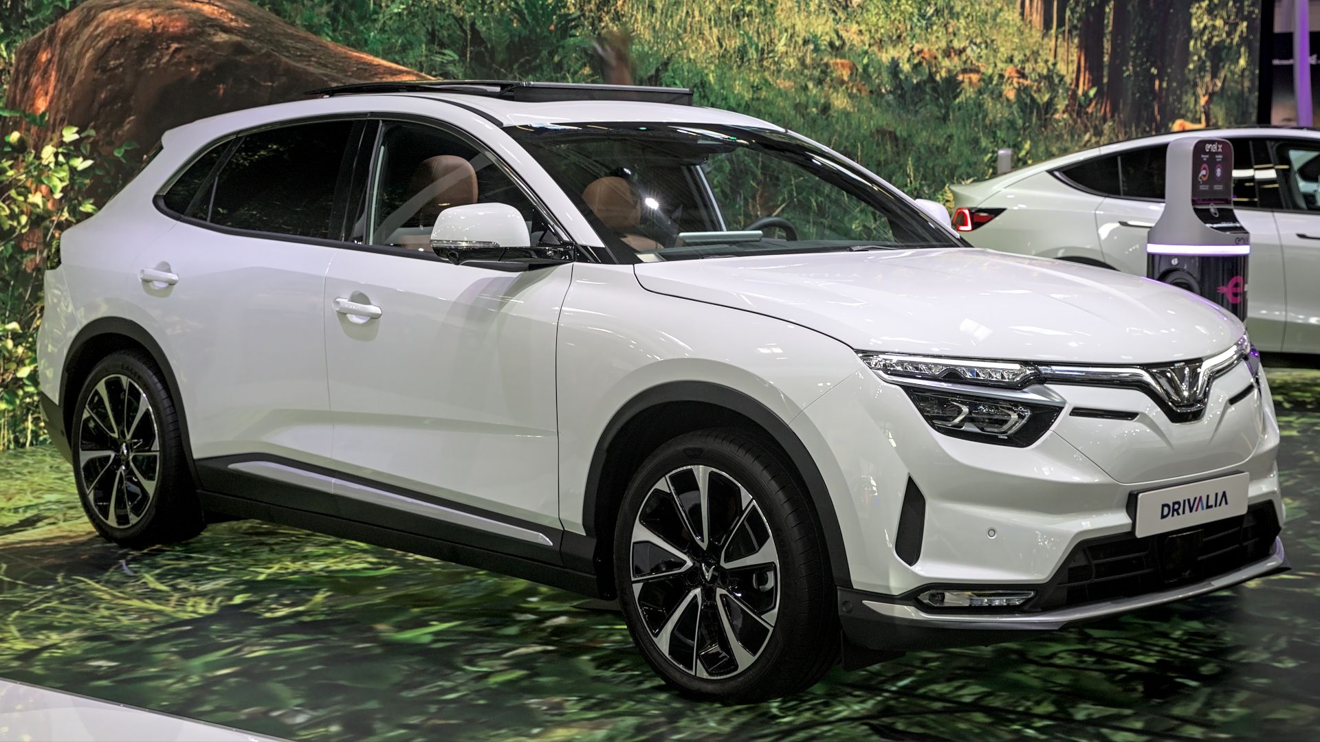 File:VinFast VF 8 IAA 2023 1X7A0681.jpg