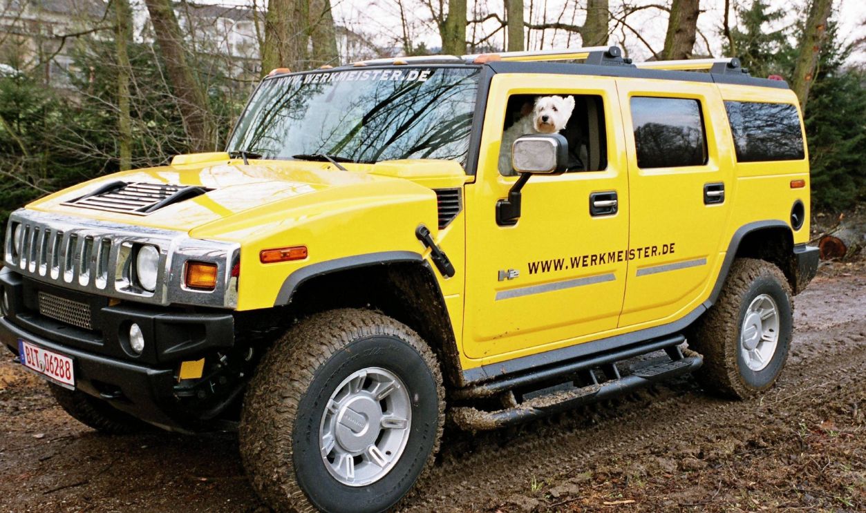 Gettyimages - 544243995, MÜhlheim/Mosel - Gelaendewagen Hummer H2 (GERMANY OUT) Deutschland, Rheinland-Pfalz, MÜhlheim/Mosel - Geländewagen Hummer H2 auf Wald und Wiesen-Fahrt a