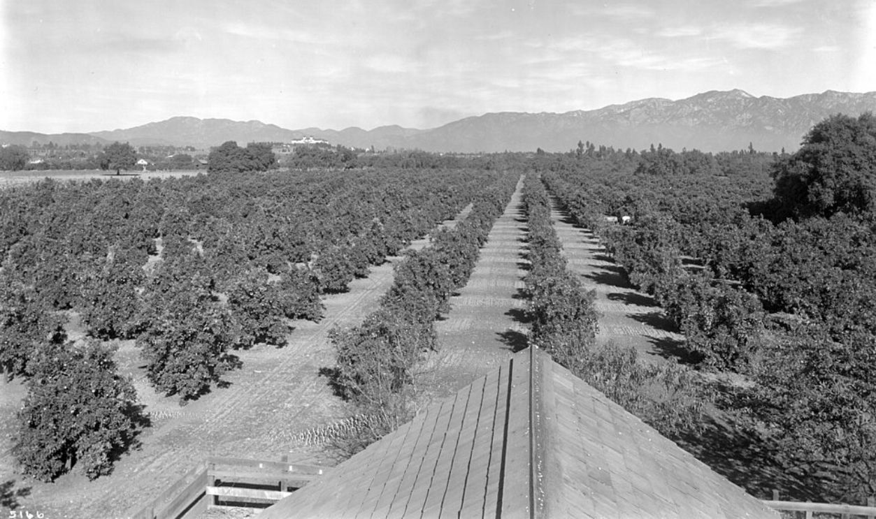 The Dream Begins In Pasadena