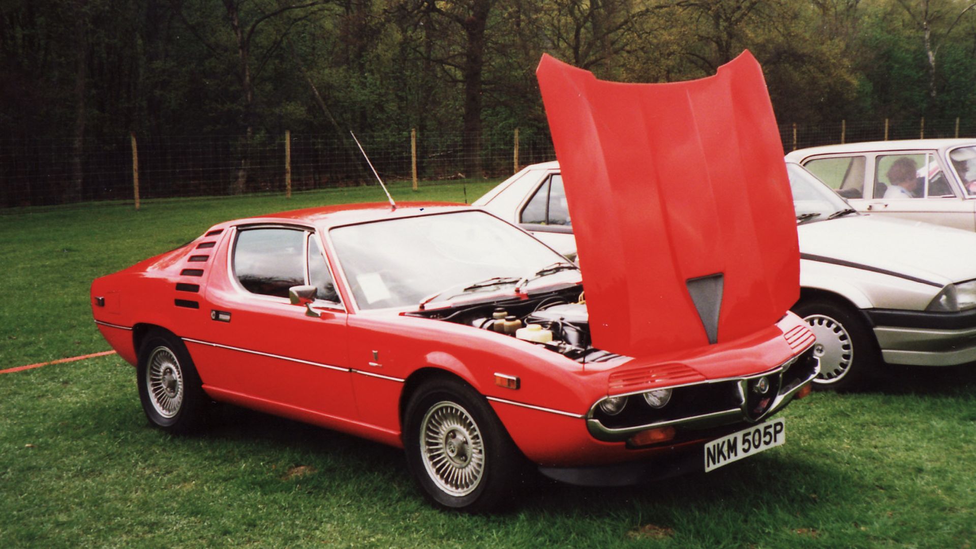 File:Alfa Romeo Montreal 1975-76 (16644336804).jpg