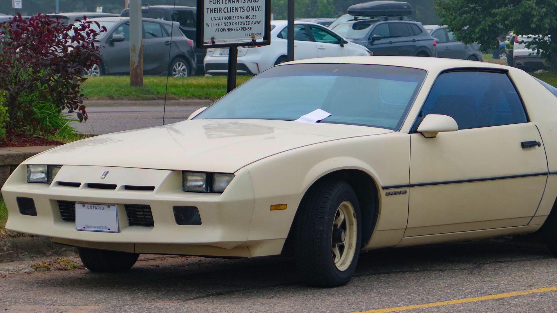 File:1984 Chevrolet Camaro Sport Coupe in Beige, Front Left, 06-27-2023.jpg