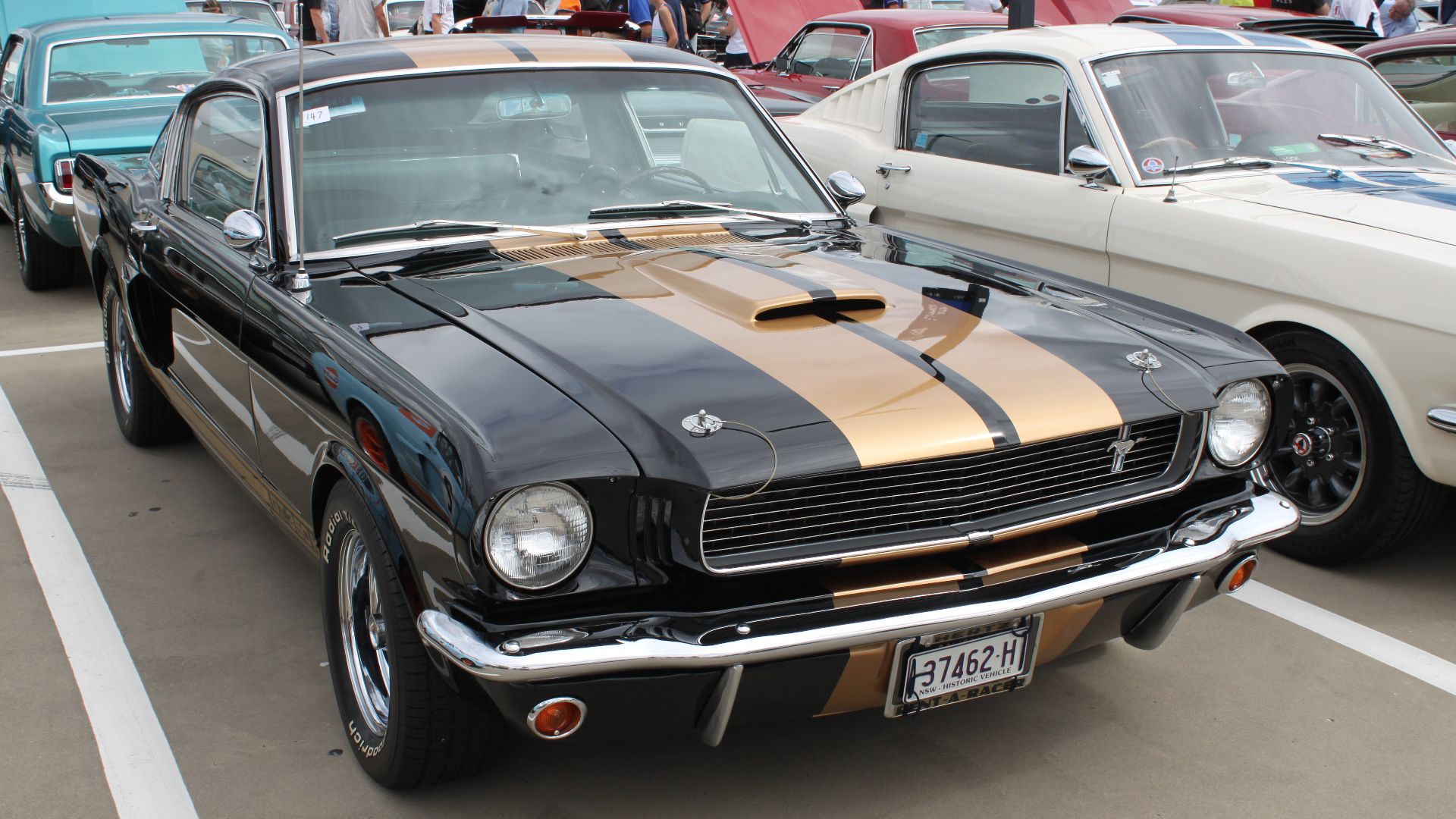 File:1966 Ford Mustang Shelby GT350H (24373841151).jpg