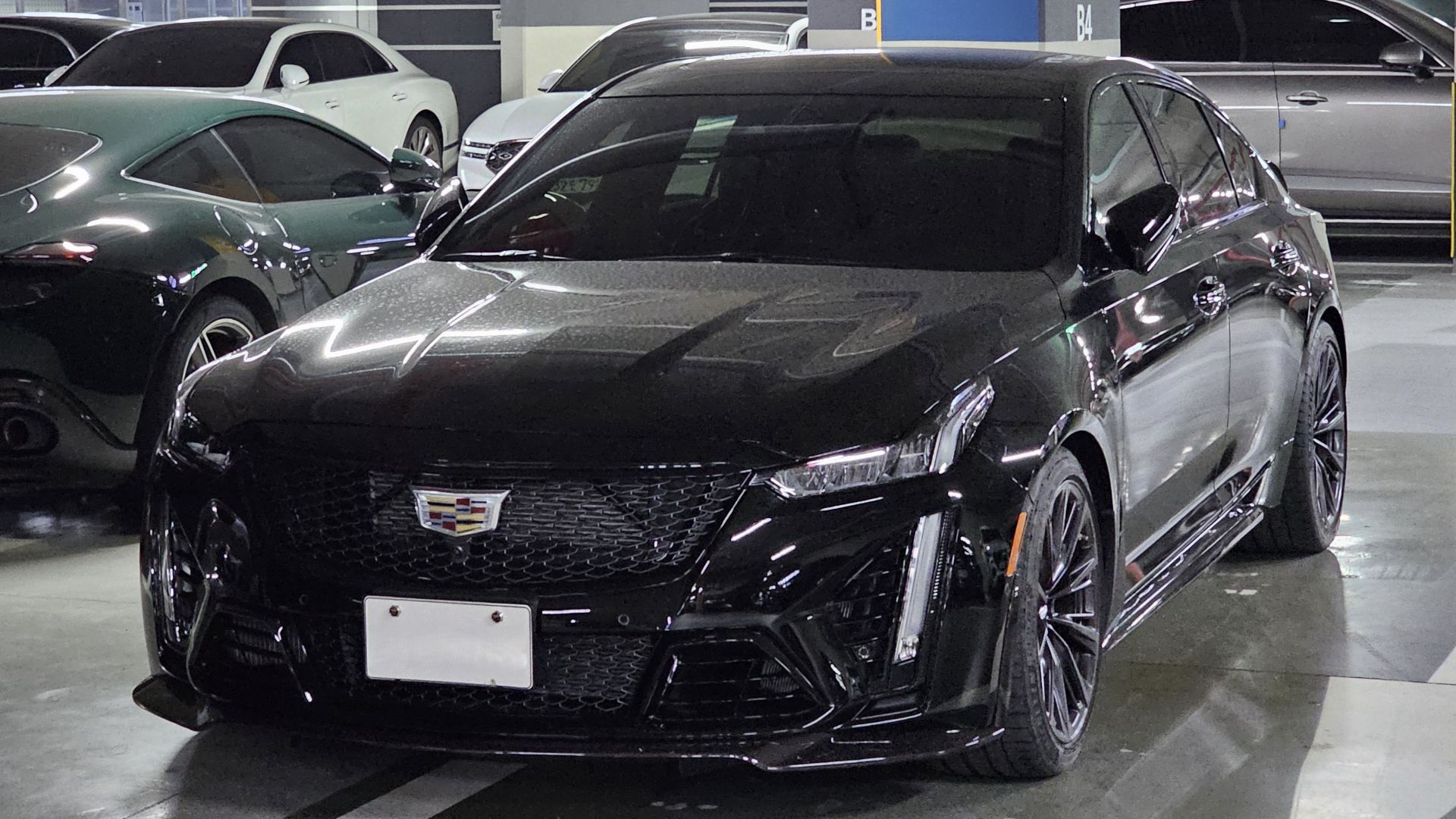 File:Cadillac CT5-V Blackwing 6DC79 Black Raven (13).jpg