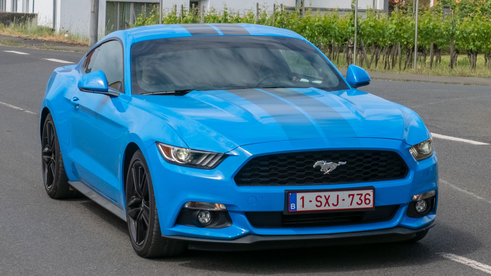 File:Ford GT Mustang P5201092.jpg