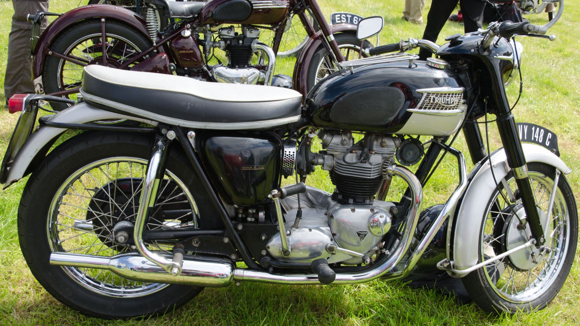 File:Triumph 6T Thunderbird (1965) - 15279298551.jpg