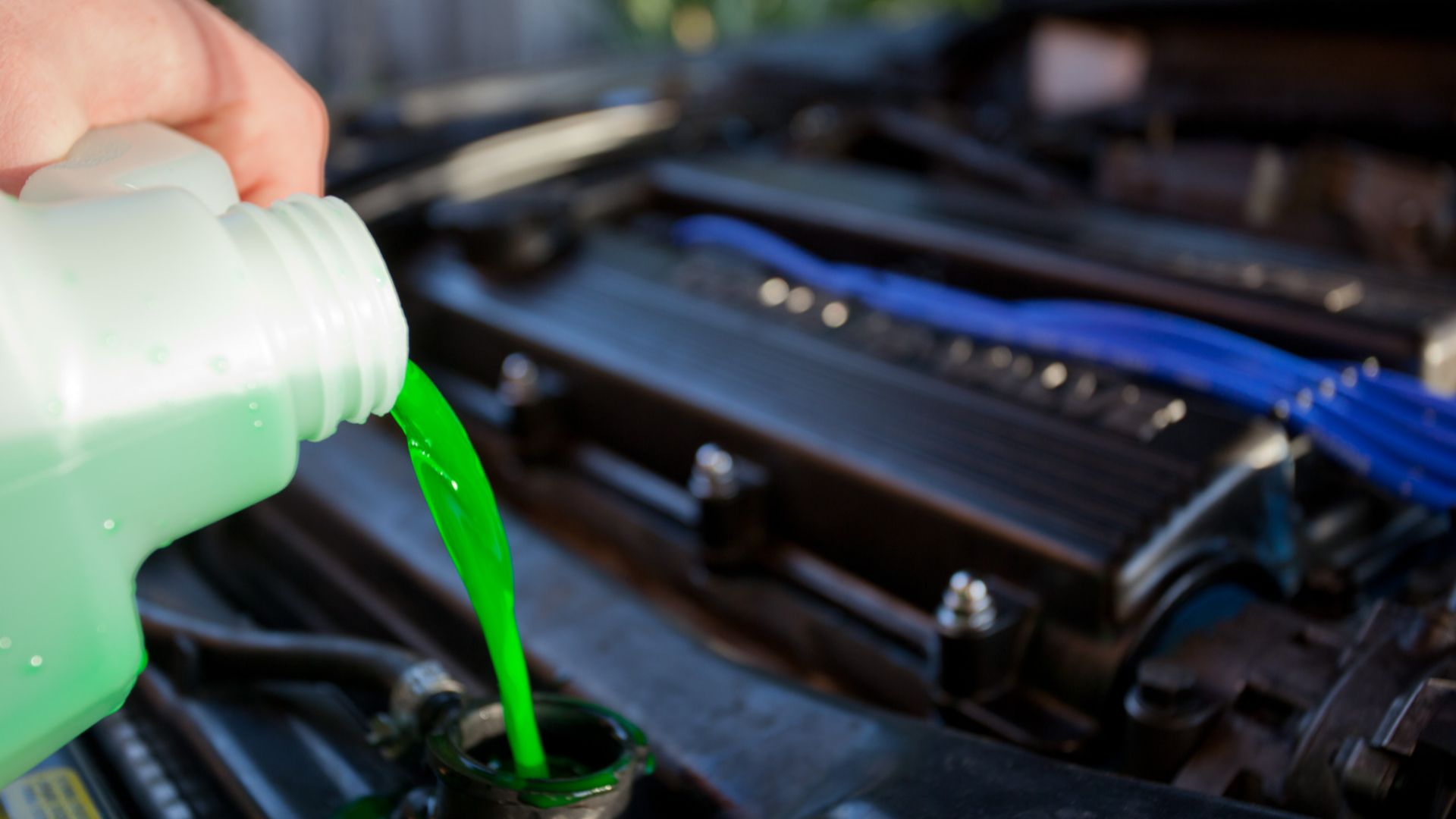File:Engine coolant.jpg