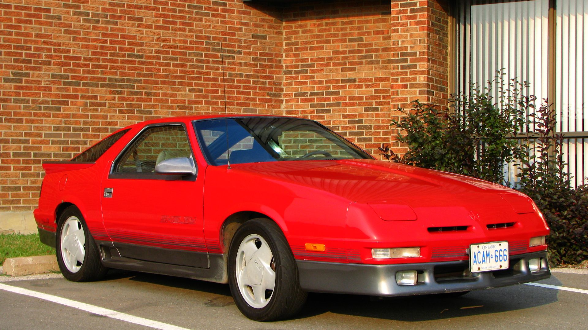 File:Dodge Daytona Shelby Z (4910072218).jpg