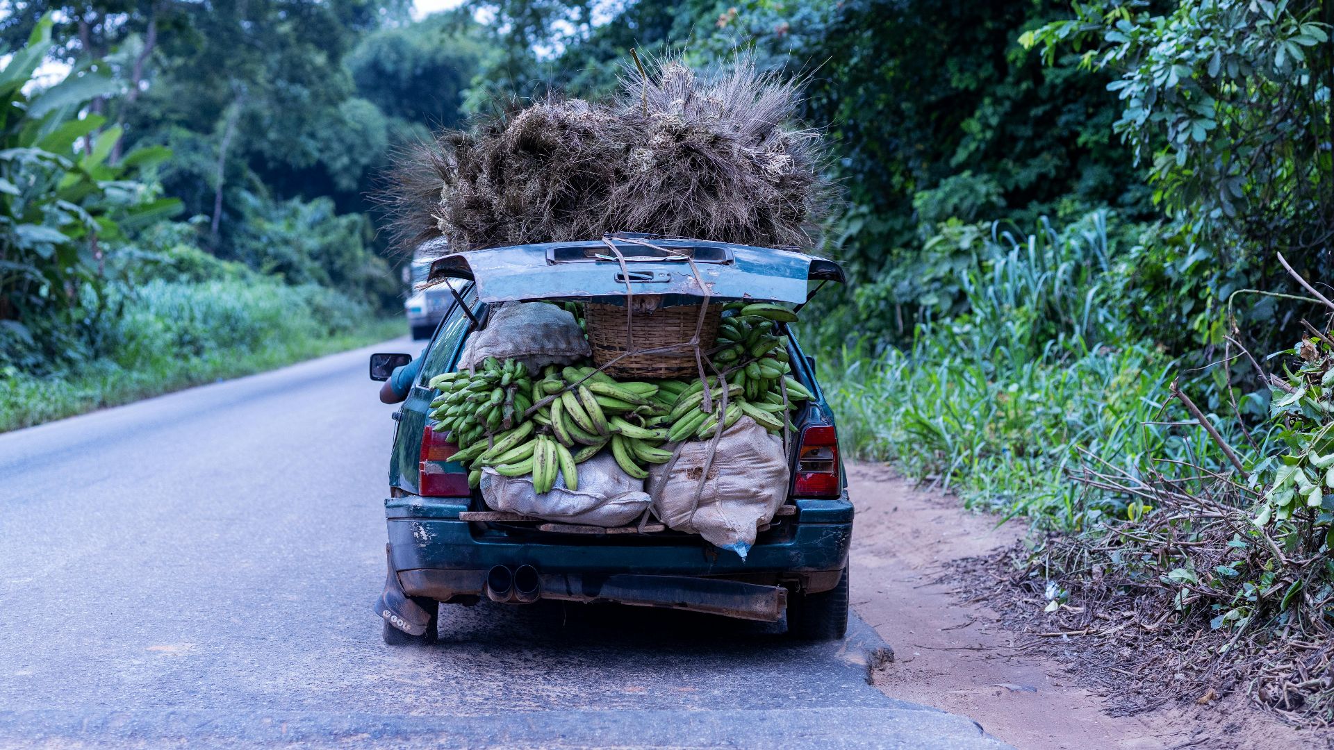 Frederick Adegoke Snr.